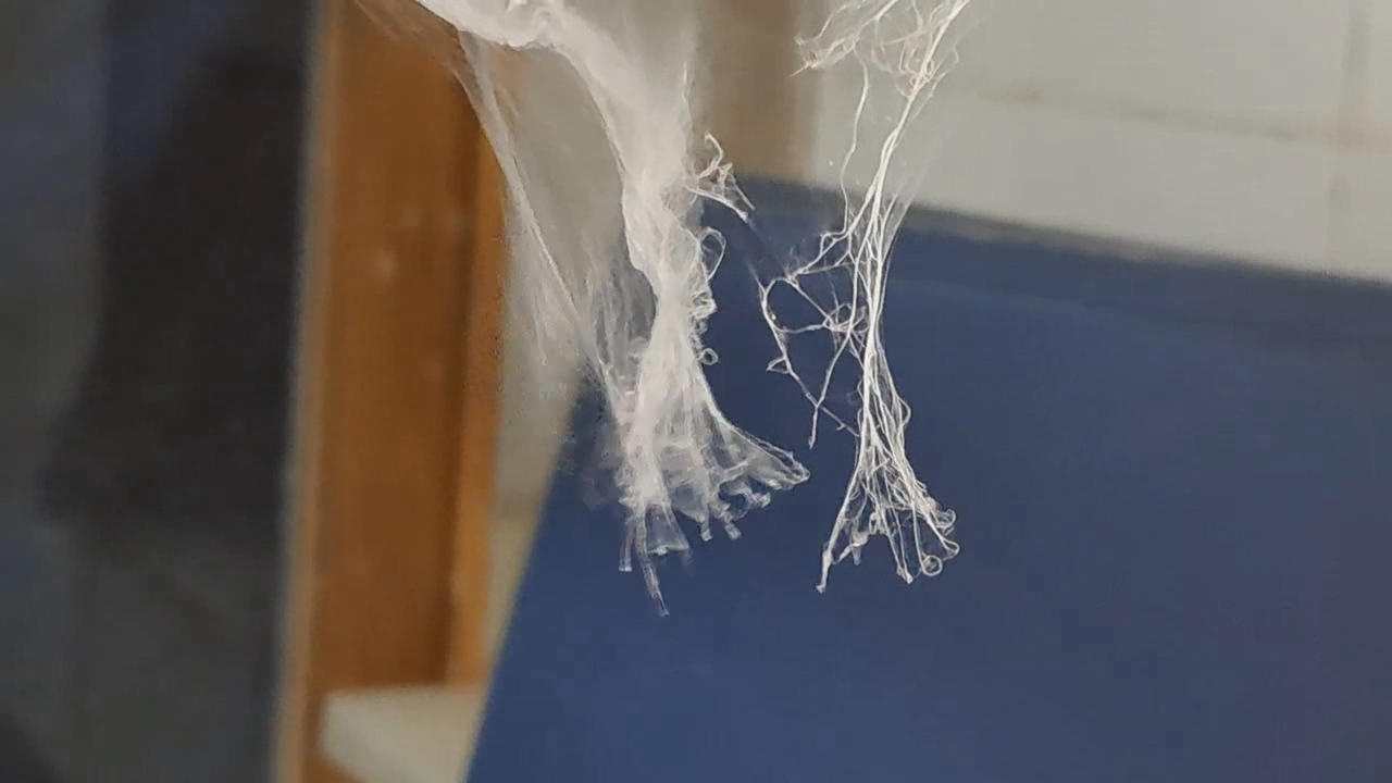 Electrospinning: Solutions of Polystyrene and Polyvinylidene Difluoride in Dimethylformamide